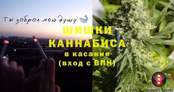 мдпв Корсаков