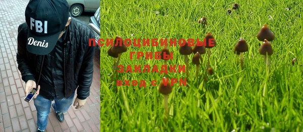 мдпв Корсаков