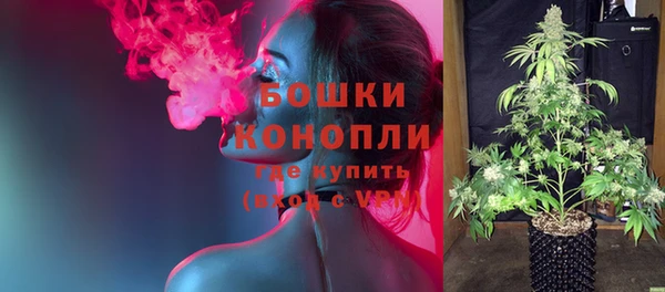 мдпв Корсаков