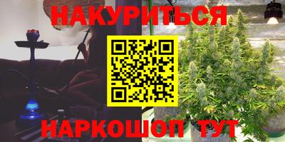 Альфа ПВП Будённовск
