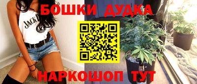 Альфа ПВП Будённовск