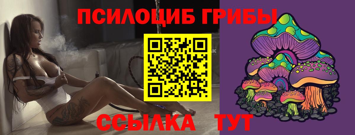 Галлюциногенные грибы GOLDEN TEACHER  Псилоцибиновые грибы MAGIC MUSHROOMS  Южноуральск 