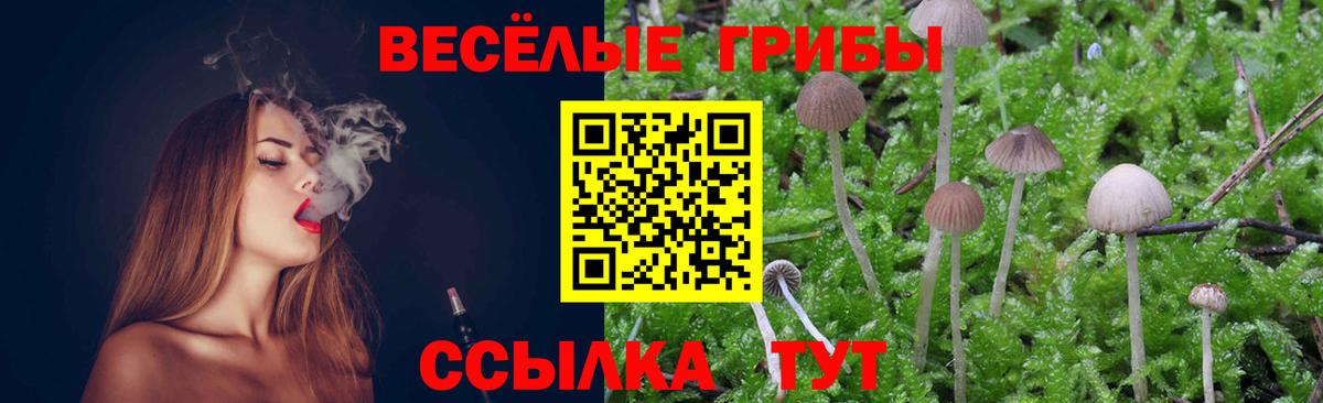 Псилоцибиновые грибы мицелий Южноуральск